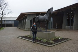 Besuch auf dem Gestüt BLUE HORS und bei DON SCHUFRO
