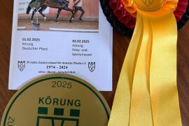 Körung 2025